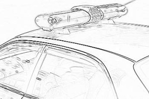 MLMとアレルギー